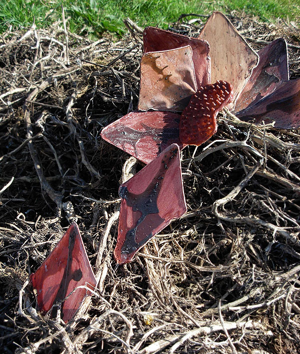 Bild 11